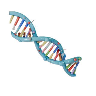Classroom DNA Helix 3D Game Asset for Indie Levels