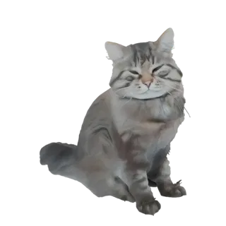 A 3D render of a gray tabby cat sitting with its eyes closed and a content expression.