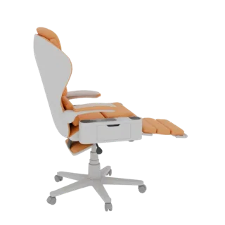 Ergonomic Office Chair with Footrest