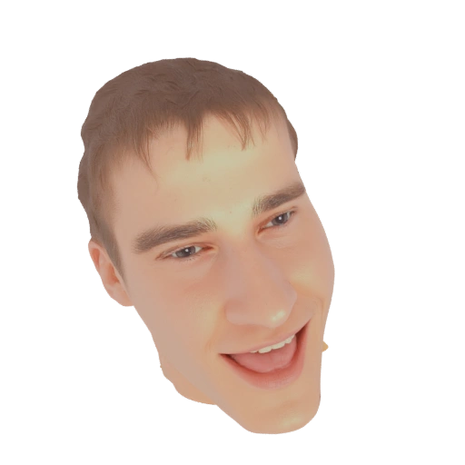 Distorted Man's Head 3D Model