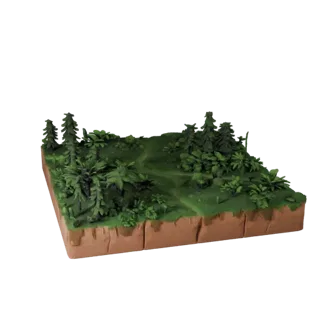 Forest Floor Terrain Unity 3D Asset for Realtime Builds