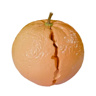 Detailed Sliced Orange 3D Asset for Studio Renders