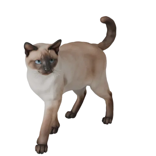 Modelo 3D Gato Birmanês, vista lateral da câmera de gameplay, asset de animal pronto para Unity com fluxo de coluna felina, a