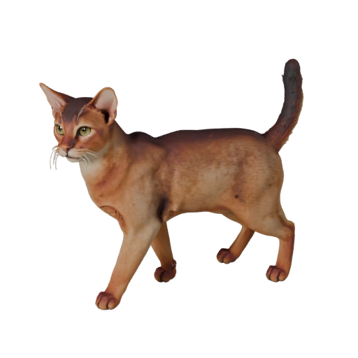 Modèle 3D réaliste de chat abyssin - Actif PBR riggé pour jeux