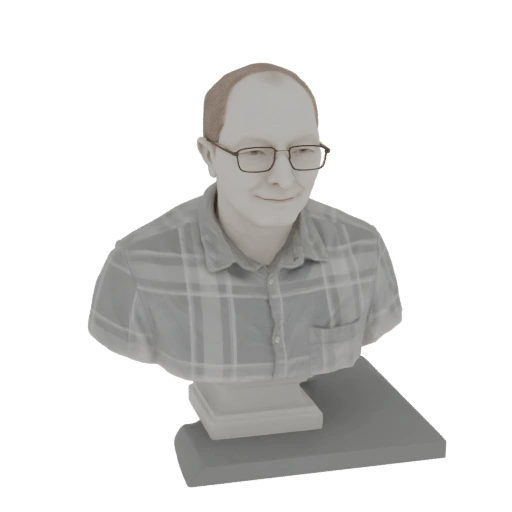 Bust of a Man in Plaid Shirt
