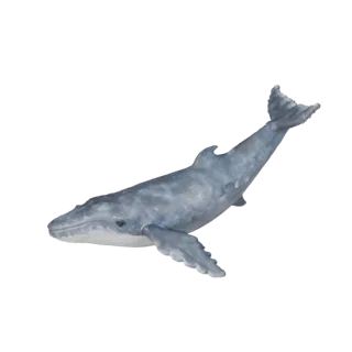 Realistic Blue Whale 3D Model - Rigged PBR Asset for Games
