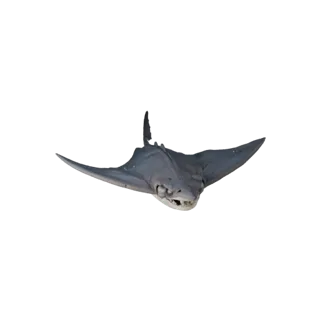Realistic Stingray 3D Model - Rigged PBR Asset for Games | PBR