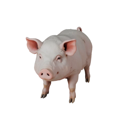 Modello 3D di Maiale per Unity - Asset Pronto per il Gioco, FBX | Royalty-Free