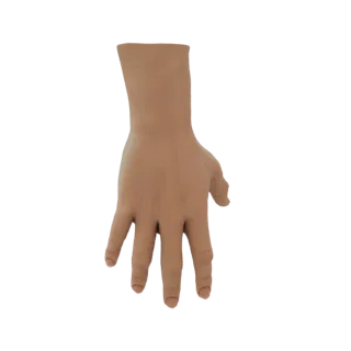 Un modelo 3D realista de una mano humana, mostrado desde una perspectiva cenital sobre un fondo blanco.