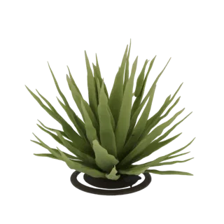 Render del modello 3D di una pianta succulenta agave verde con foglie appuntite e una base circolare scura, su sfondo bianco.