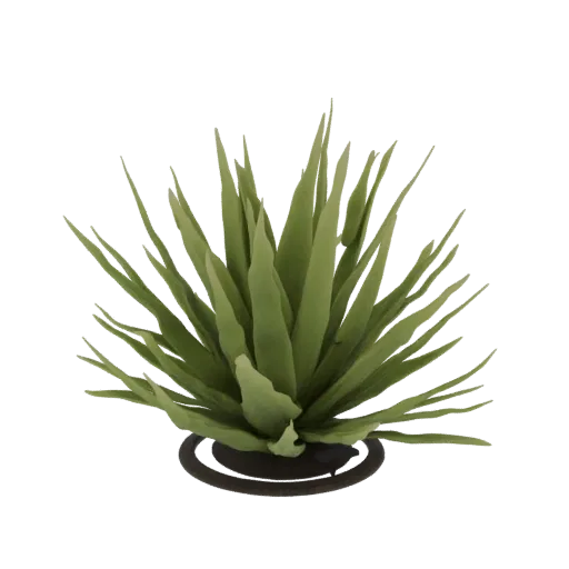 Render de modelo 3D de una planta suculenta agave verde con hojas puntiagudas y una base circular oscura, sobre un fondo blan