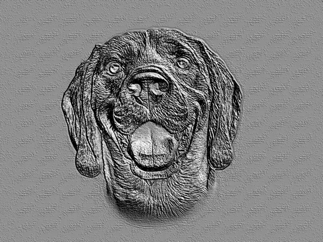 Modèle 3D de basse-relief de tête de chien style gravure, avec des yeux expressifs et une gueule ouverte, sur fond texturé.