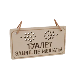 Wooden Toilet Sign with Braille and "Occupied, Do Not Disturb" Text