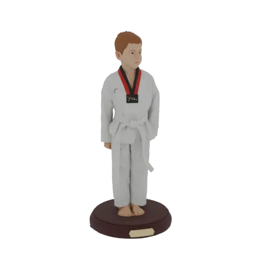 3D model of a young boy in a white Taekwondo uniform, wearing a medal, standing on a circular base.