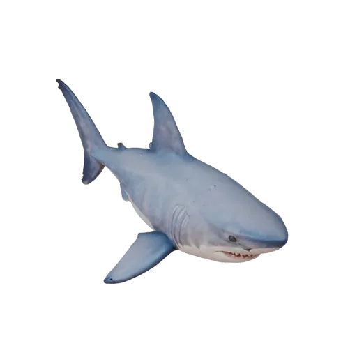 Modelo 3D de Tubarão Branco Cartoon, render de vida selvagem em vista lateral, ativo animal estilizado com resposta de pele s