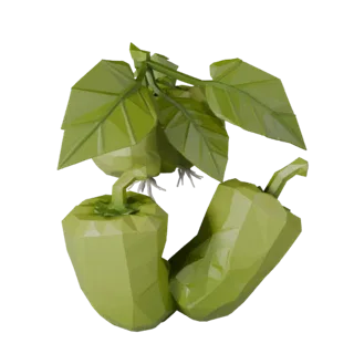 Garden Bell Pepper 3D Asset for Game Engine Levels