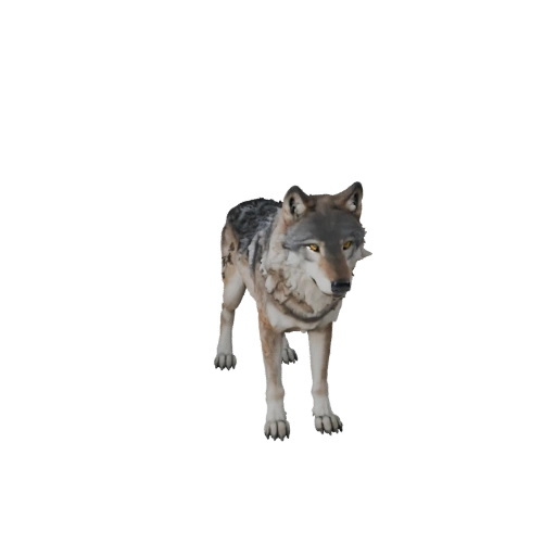 Modèle 3D de Loup Gris pour Unity - Actif prêt pour le jeu, FBX | Libre de droits
