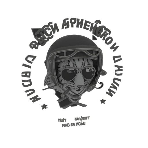 Modello 3D Casco da Pilota Tigre