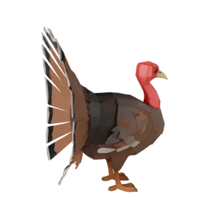 Low Poly Turkey 3D Model - Unity Game Asset with FBX | Royalty-Free