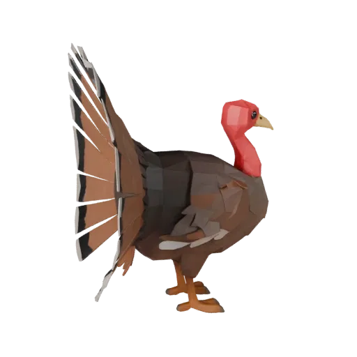 Modelo 3D de Peru Low Poly, vista lateral da câmera de gameplay, asset de animal low-poly com perfil de bico, plumagem em cam
