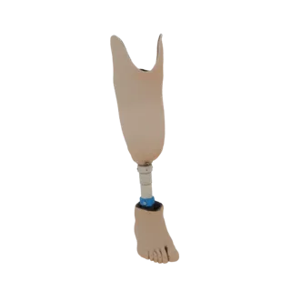 Prosthetic Leg with Foot and Socket