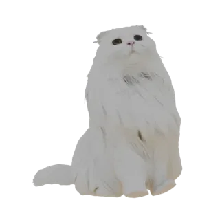 3D model of a fluffy white Scottish Fold cat sitting with its head tilted up, showcasing its folded ears and soft fur texture