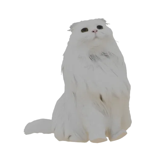 3D model of a fluffy white Scottish Fold cat sitting with its head tilted up, showcasing its folded ears and soft fur texture