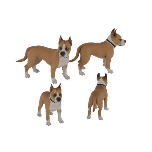 American Staffordshire Terrier 3D Model