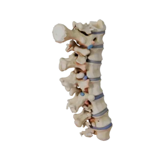 Spine Style Column 3D Game Asset for Casual Levels