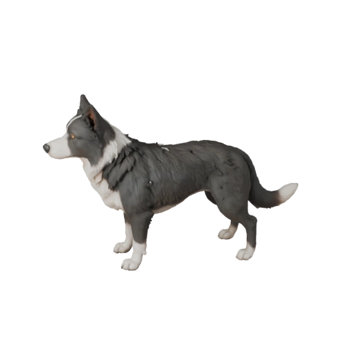 Cartoon Border Collie Hund 3D Modell - Stilisierte Asset für Animation