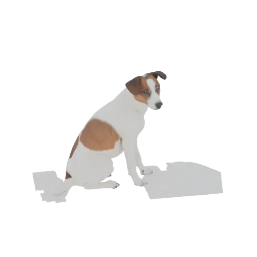 A 3D model render of a Jack Russell Terrier sitting down, looking to the right with brown and white fur.
