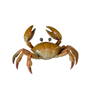 Cartoon Crab 3D Model - Stylized Asset for Animation | Royalty-Free