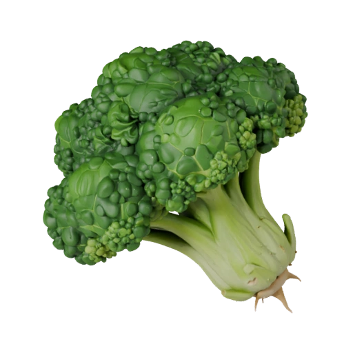Market Broccoli Head 3D Model for Realtime Engines