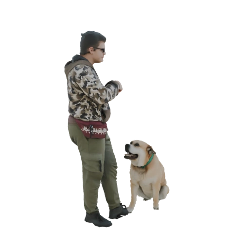 Modello 3D Ragazzo Addestra Cane