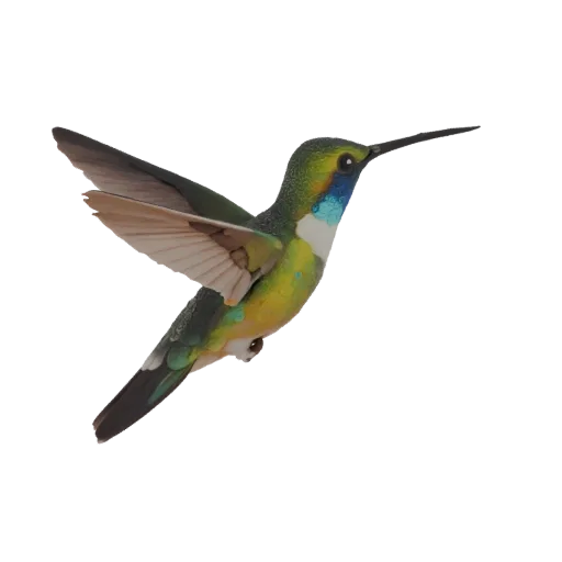 3D model of a hummingbird in flight, with green and yellow plumage, spread wings, and a long beak