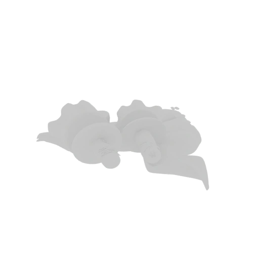 White Abstract Sculptural Forms
