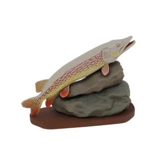 Pike Fish on Rocks Diorama