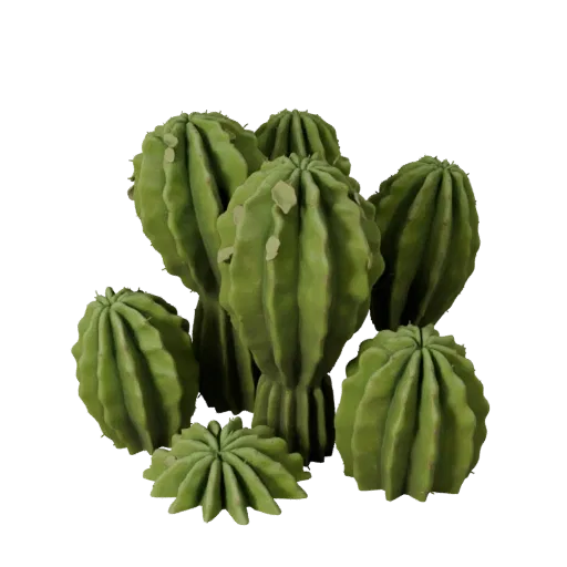 Cactus Desert Cluster High Poly 3D model, close-up cinematic environment render, showing leaf clusters, terrain detail.
