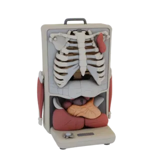 Kit Anatomia Articolare per Aula 3D per Simulazione