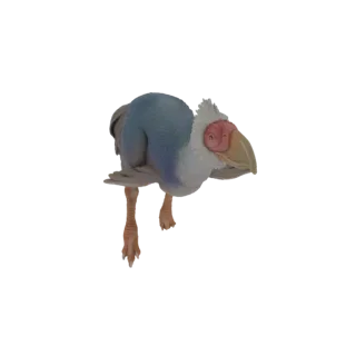 Modèle 3D d'Oiseau de proie Brontornis