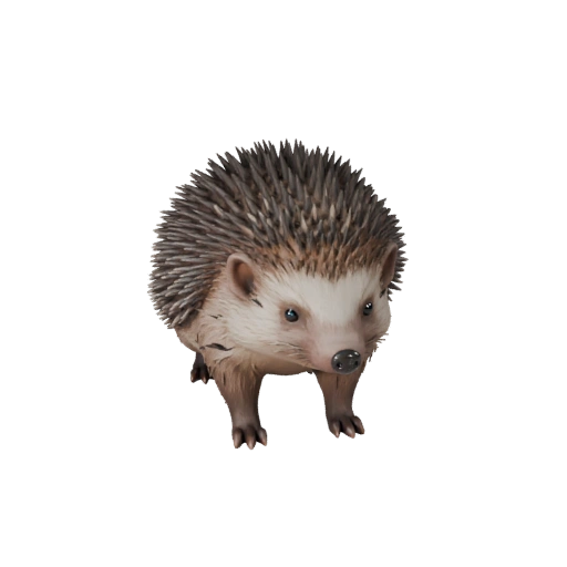 Riccio Realistico 3D Model - Asset Rigged PBR per Giochi | PBR