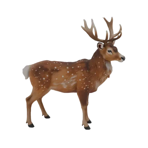 3D model of a deer with antlers, standing in profile on a black background