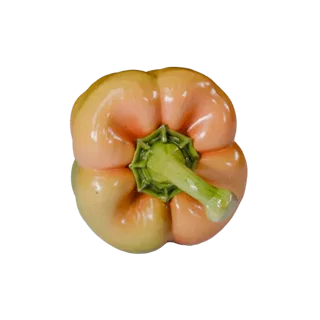 Detailed Market Bell Pepper 3D Studio Render Asset