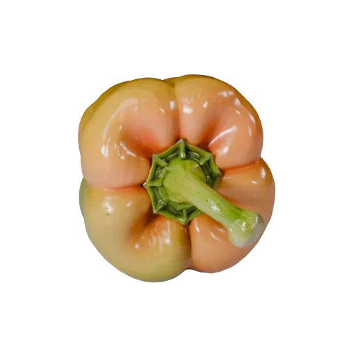 Market Bell Pepper High Poly 3D model, close-up studio render, showing leaf veins, clear vegetable silhouettes.