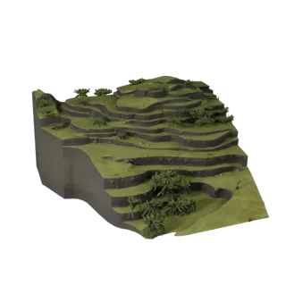 High Poly Coastal Mangrove Biome 3D for VFX Close-Ups