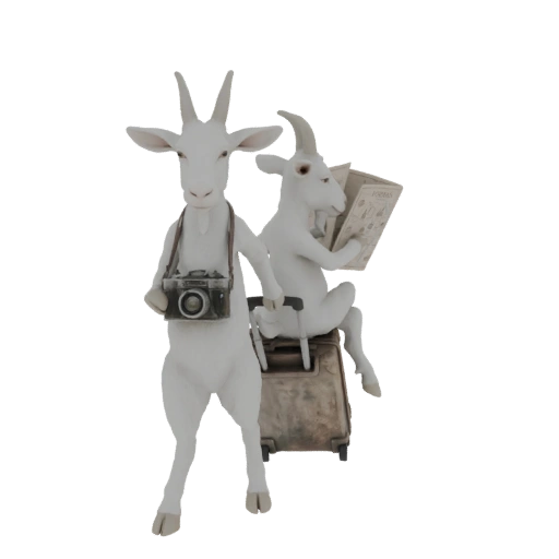 Traveling Goats with Camera and Map