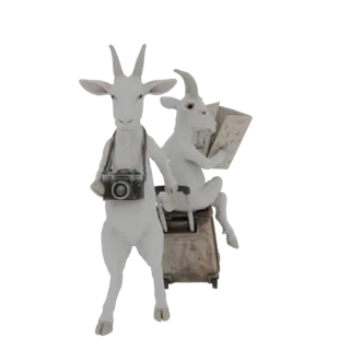 Traveling Goats with Camera and Map