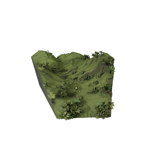 High Poly Tropical Jungle Biome 3D for VFX Close-Ups