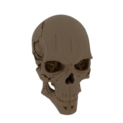 Cracked Skull with Internal Structure