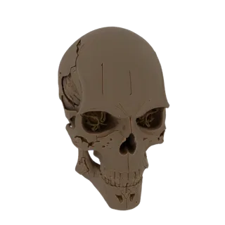 Cracked Skull with Internal Structure